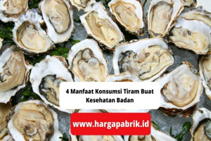 4 Manfaat Konsumsi Tiram Buat Kesehatan Badan