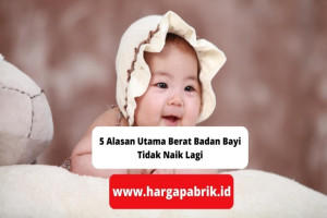 5 Alasan Utama Berat Badan Bayi Tidak Naik Lagi