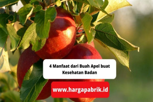 4 Manfaat dari Buah Apel buat Kesehatan Badan