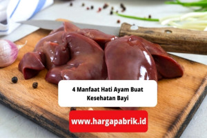 4 Manfaat Hati Ayam Buat Kesehatan Bayi