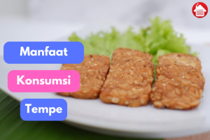 7 Kandungan Gizi pada Tempe