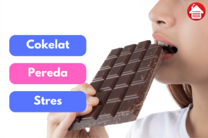 Coklat sebagai Pereda Stres: Manfaat dari Makanan Lezat