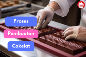 Kisah Perjalanan Biji Kakao: Dari Pohon Hingga Coklat