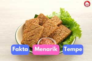 Tempe: Fakta Menarik yang Perlu Kalian Tahu