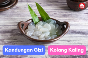 8 Kandungan Gizi Kolang Kaling. Kalian Perlu Tau