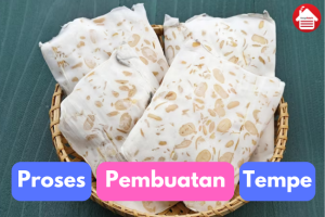 Prose Pembuatan Tempe: Produk Fermentasi Kaya Nutrisi