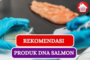 5 Produk dengan Kandungan DNA Salmon yang Bagus