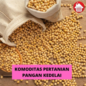 Komoditas Pertanian Pangan Kedelai