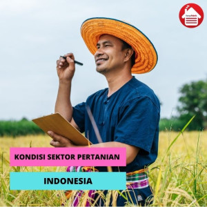 Kondisi Sektor Pertanian Indonesia Saat Ini