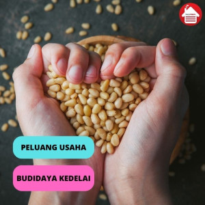 Peluang Usaha Budidaya Kedelai