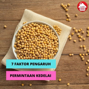 Permintaan Kedelai di Indonesia