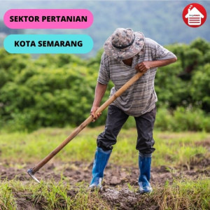 Perkembangan Sektor Pertanian di Kota Semarang