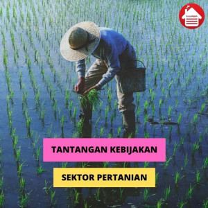 Tantangan Kebijakan Pengembangan Sektor Pertanian