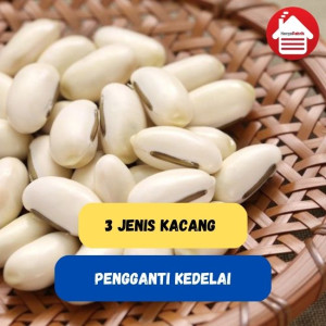 3 Kacang Pengganti Kedelai