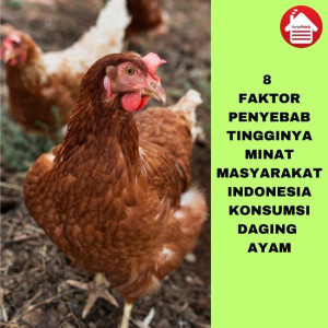 8 Faktor Penyebab Permintaan Ayam Di Indonesia