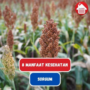 Ketahuilah 8 Manfaat Kesehatan dari Sorgum