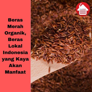 Mengenal 5 Manfaat Konsumsi Beras Merah Organik