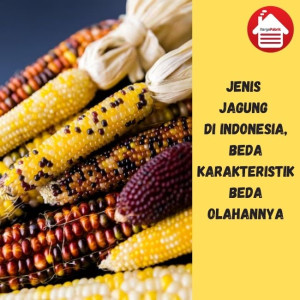 Jagung: Jenis, Karakteristik, dan Pemanfaatannya