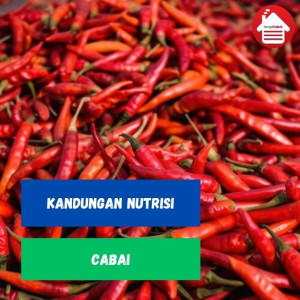 Kandungan Nutrisi Pada Cabai