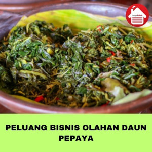 Peluang Bisnis Olahan Daun Pepaya