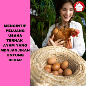 Bisa Untung Besar! Peluang Usaha Ternak Ayam