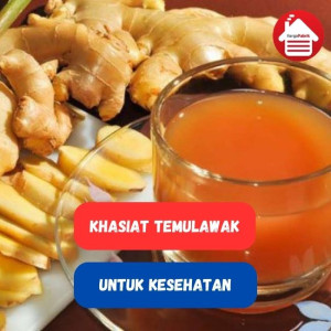 Manfaat Temulawak Untuk Kesehatan