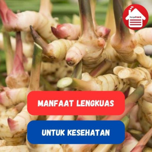 Lengkuas, Kenali 5 Manfaat Untuk Kesehatan