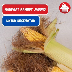 Manfaat Rambut Jagung Untuk Kesehatan