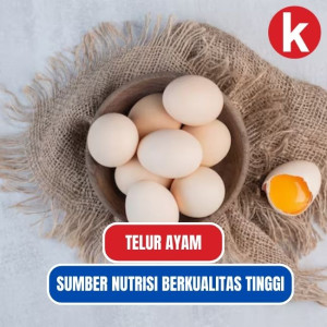 Kandungan Nutrisi dan Manfaat Telur Ayam Untuk Kesehatan