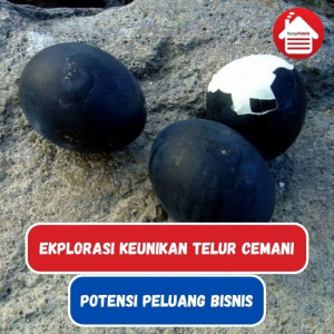 Eksplorasi Keunikan Ayam Cemani: Peluang Bisnis