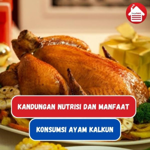 Ayam Kalkun: Nutrisi dan Manfaat 