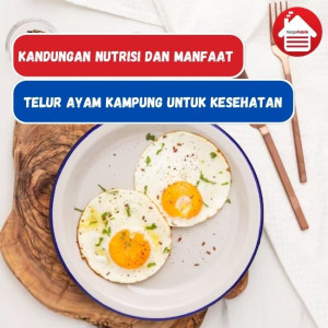 Nutrisi Telur Ayam Kampung Yang Bermanfaat Untuk Tubuh