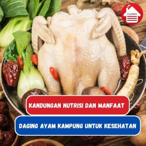 Kandungan Nutrisi Ayam Kampung