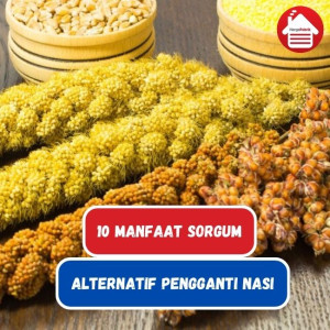 10 Manfaat Sorgum, Alternatif Pengganti Nasi