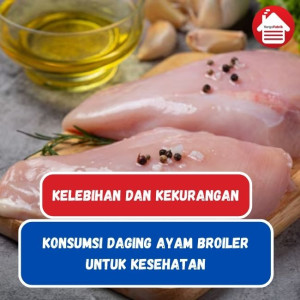 3 Kelebihan dan Kekurangan Konsumsi Daging Ayam Broiler