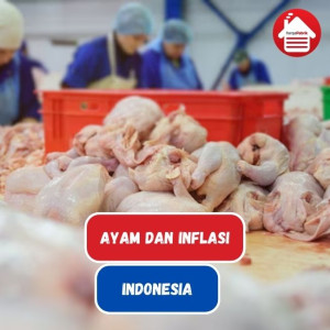 Ayam Turut Menyumbang Inflasi di Indonesia