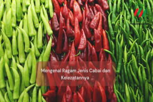 Mengenal Ragam Jenis Cabai dan Kelezatannya