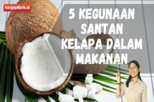 5 Kegunaan Santan Kelapa dalam Makanan