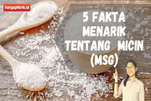 5 Fakta Menarik tentang  Micin (MSG)