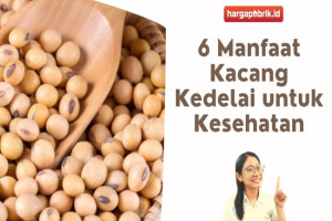 6 Manfaat Kacang Kedelai untuk Kesehatan