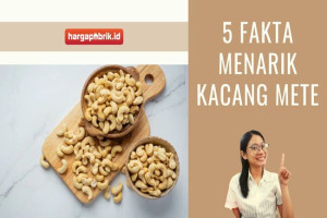 5 Fakta Menarik Kacang Mete