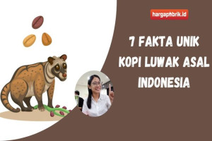 7 Fakta Unik Kopi Luwak Asal Indonesia