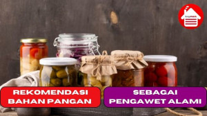 7 Rekomendasi Bahan Pangan sebagai Pengawet Alami