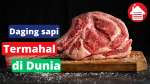 5 Jenis Daging Sapi Termahal di Dunia