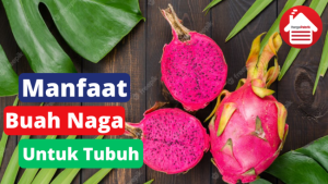 8 Manfaat Buah Naga Untuk Tubuh Kita