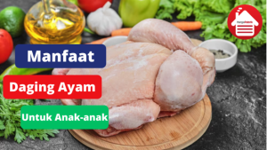 5 Manfaat Daging Ayam Untuk Anak-anak