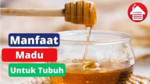 6 Manfaat Madu Untuk Tubuh Kita 