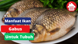 7 Manfaat Mengkonsumsi Ikan Gabus Untuk Tubuh