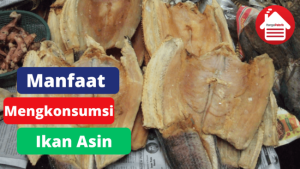 7 Manfaat Mengkonsumsi Ikan Asin Untuk Tubuh