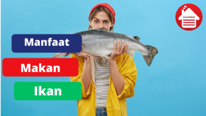 6 Manfaat Memakan Ikan Untuk Tubuh Kita